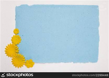 yellow flower corner blue torn paper against white backdrop
