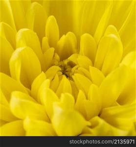 yellow flower detailed