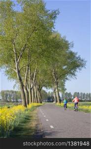 yellow flowers and colorful children on bicycle on country road in spring near leerdam in the netherlands