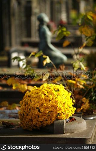 Yellow Flowers And Silhouette Of Statue On Grave