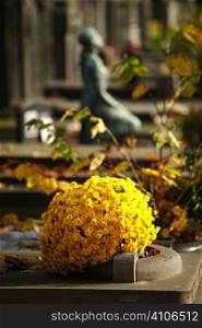 Yellow Flowers And Silhouette Of Statue On Grave