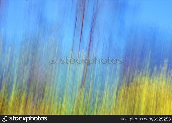 Yellow flowers and trees against blue sky. Motion blur abstract spring landscape.