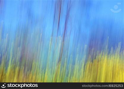 Yellow flowers and trees against blue sky. Motion blur abstract spring landscape.