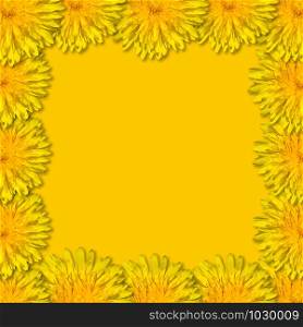 Yellow flowers arranged in a square frame on yellow background. Floral frame from dandelions. Copy space. Monochrome.