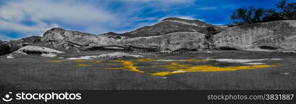 Yellow flowers in a meadow surrounded by rock cliffs.. Spring Meadow