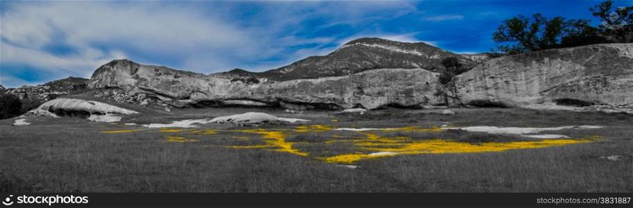 Yellow flowers in a meadow surrounded by rock cliffs.. Spring Meadow