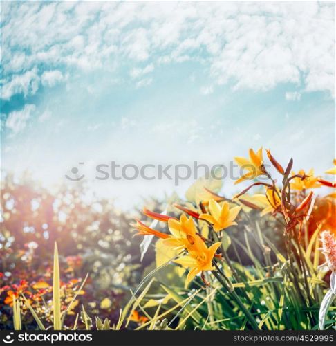 Yellow flowers in garden or park at sky background, summer outdoor nature