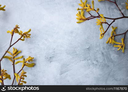 Yellow flowers kangaroo legs on marbled background
