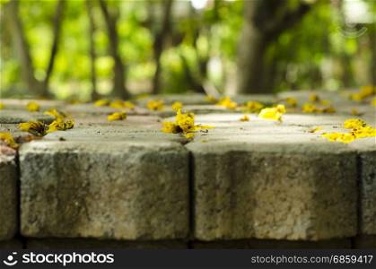Yellow flowers on the brick block background tree blurred