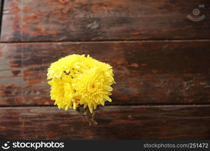 yellow flowers on wood background