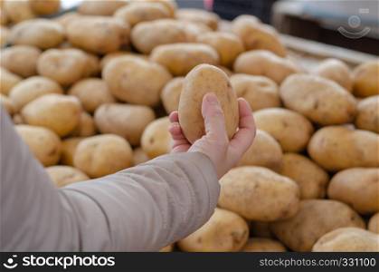 Yellow fresh raw potatoes at the market countertop.Woman is holding the potato in her hand.
