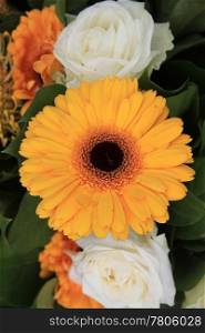 yellow gerbera in close up, part of a yellow and white floral arrangement
