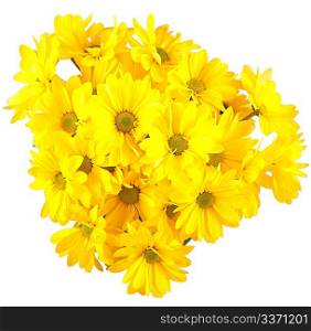 Yellow gerberas isolated on white background