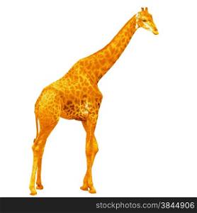 yellow giraffe isolated on white background