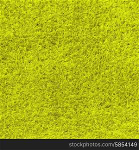 yellow grass as background or texture