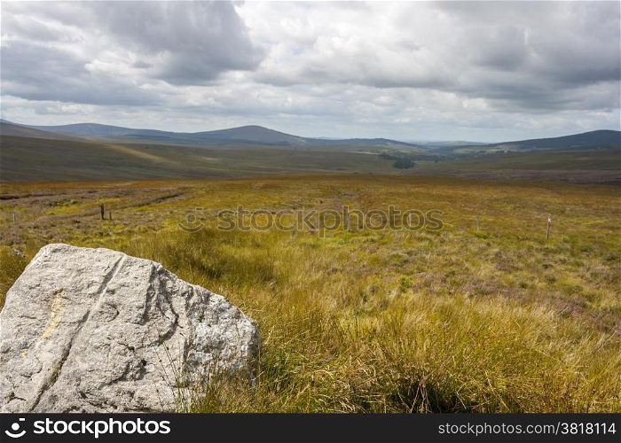 Yellow grassland Wicklow mountains landscape in Ireland