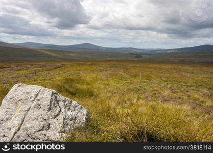 Yellow grassland Wicklow mountains landscape in Ireland