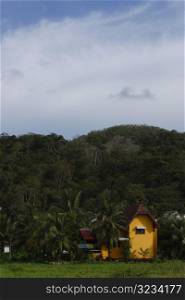 Yellow house in tropical forest