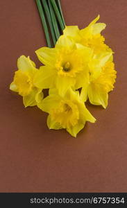 Yellow jonquil flowers on wooden background.