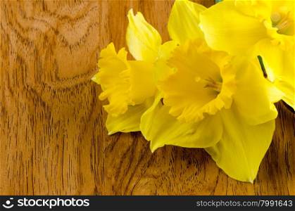 Yellow jonquil flowers on wooden background.
