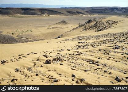 Yellow Kasui dune in Negev desert, Israel