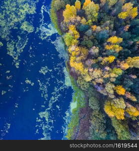 Yellow leaves on the trees, the river bank in autumn.. Yellow leaves on the trees, river bank in autumn.