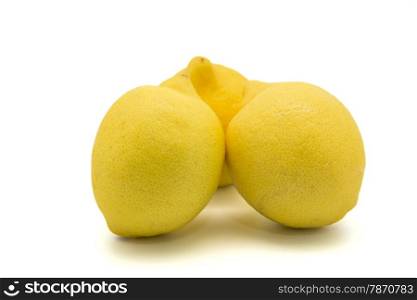 yellow lemon on a white background