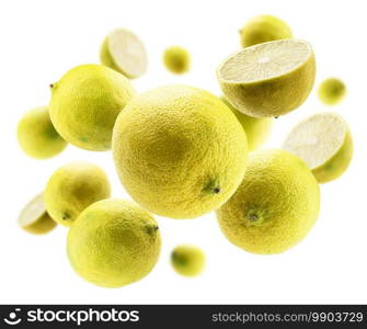 Yellow limes levitate on a white background.. Yellow limes levitate on a white background