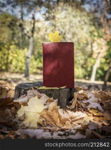 yellow maple leaf and a closed book with a red cover on the background of the autumn park