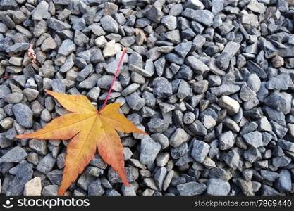 Yellow maple leaves on the stone as background. Yellow maple leaves on the stone