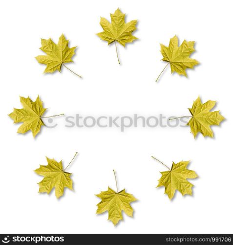 Yellow Maple leaves organized in round frame with copy space. Fall background.. Maple leaves organized in round frame with copy space. Fall background.