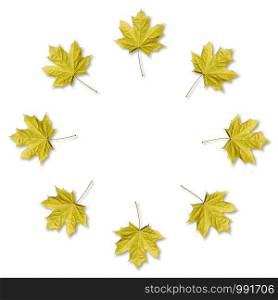 Yellow Maple leaves organized in round frame with copy space. Fall background.. Maple leaves organized in round frame with copy space. Fall background.