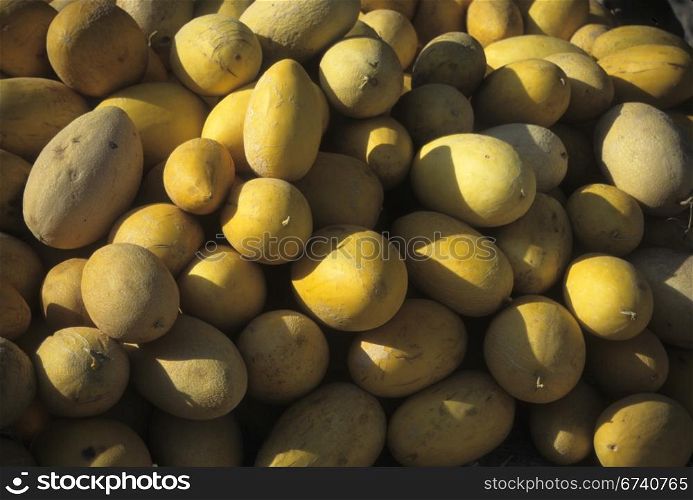 Yellow melons on market stall, Sarvestan, Iran