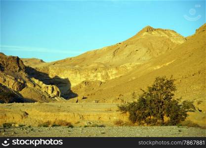 Yellow mountain in Negev desert, Israel