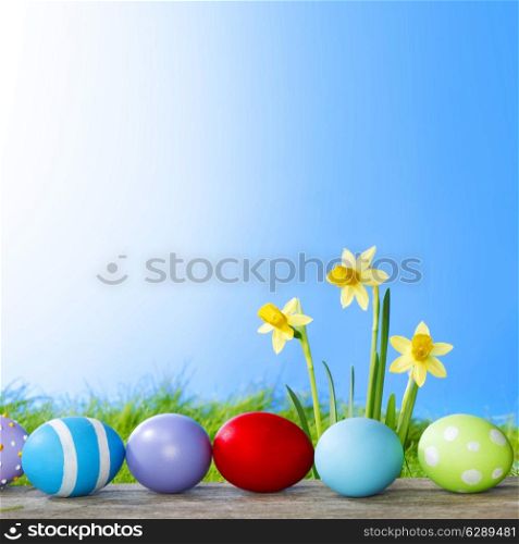 Yellow narcissus flowers and easter eggs on spring grass background