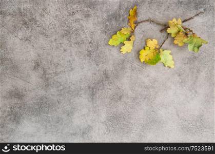 Yellow oak leaves over stone texture. Autumn background. Minimal concept