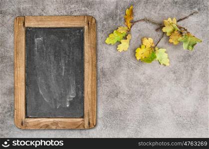 Yellow oak leaves with vintage chalkboard. Autumn background