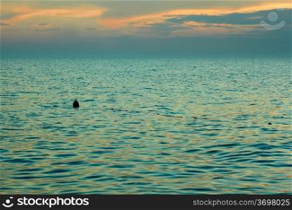 Yellow-orange clouds reflected in sea surface after sunset. Float the bounding coastal sways on the waves