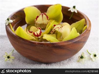 yellow orchids in bowl