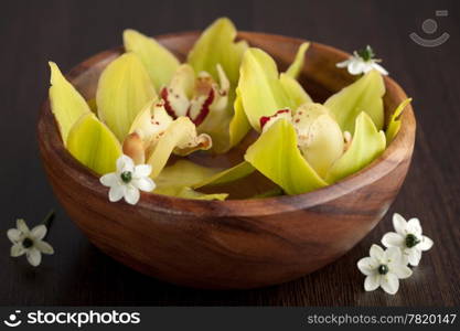 yellow orchids in bowl