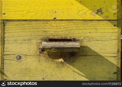 Yellow painted wooden used beehive entrance closeup