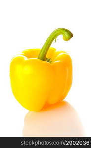 Yellow pepper over white