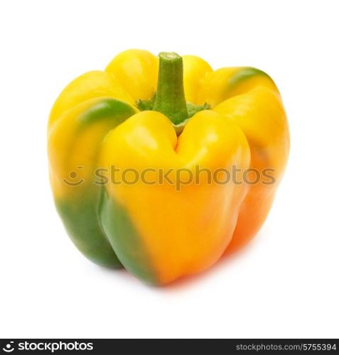 Yellow pepper paprica (capsicum frutescens) isolated on white background
