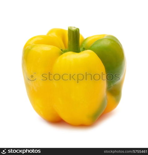 Yellow pepper paprica (capsicum frutescens) isolated on white background