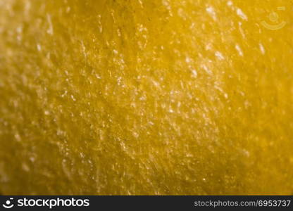 Yellow Pepper&rsquo;s kernel under the microscope.