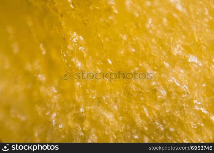 Yellow Pepper&rsquo;s kernel under the microscope.