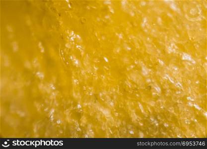 Yellow Pepper&rsquo;s kernel under the microscope.
