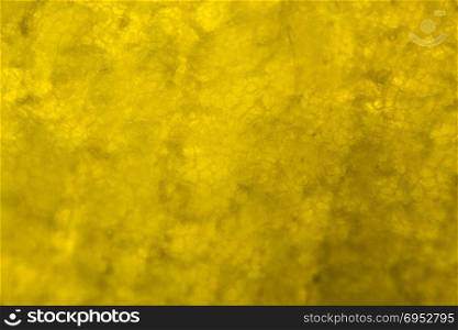 Yellow pepper under the microscope.