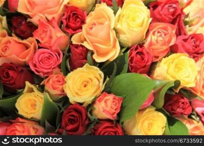 yellow, pink and red roses in a mixed rose bouquet