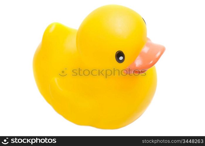 Yellow plastic duck a over white background